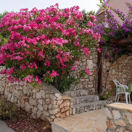 Mira פרימוסטן