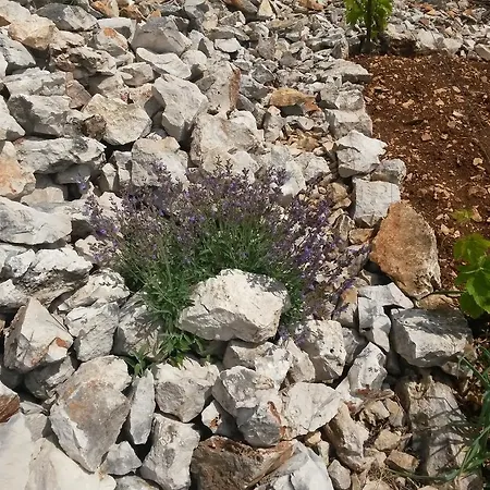 Villa Mira *