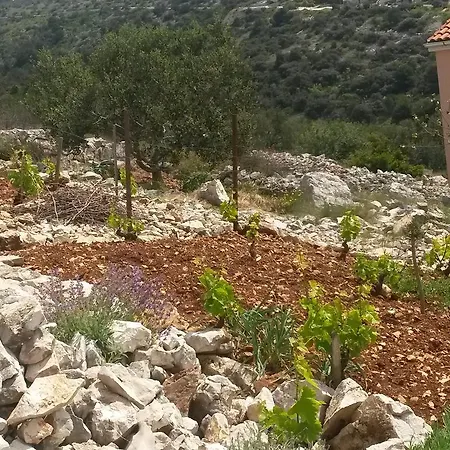 Mira * Primošten