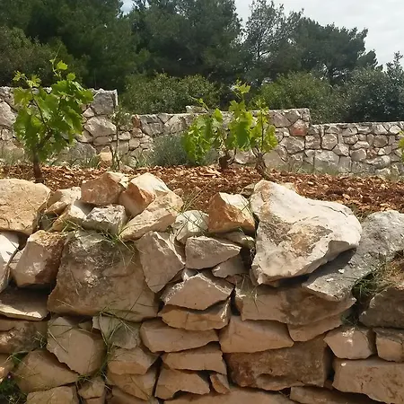 Mira *